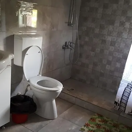 Pensiune Casa Didina *